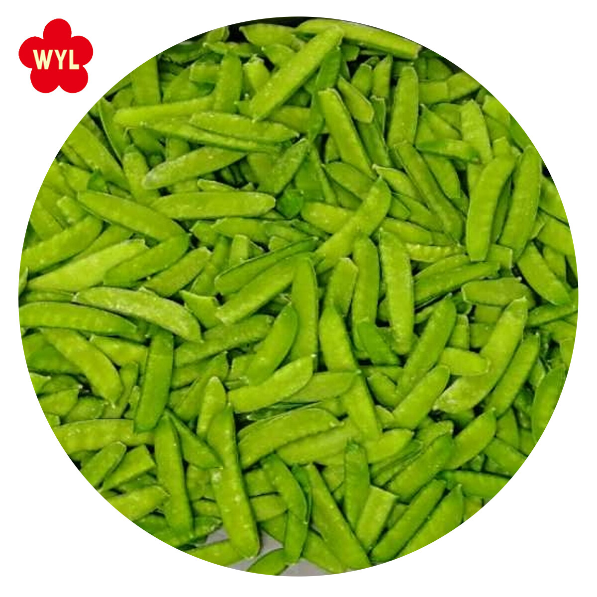 优质价格最佳销售IQF冷冻豌豆豆荚用于沙拉