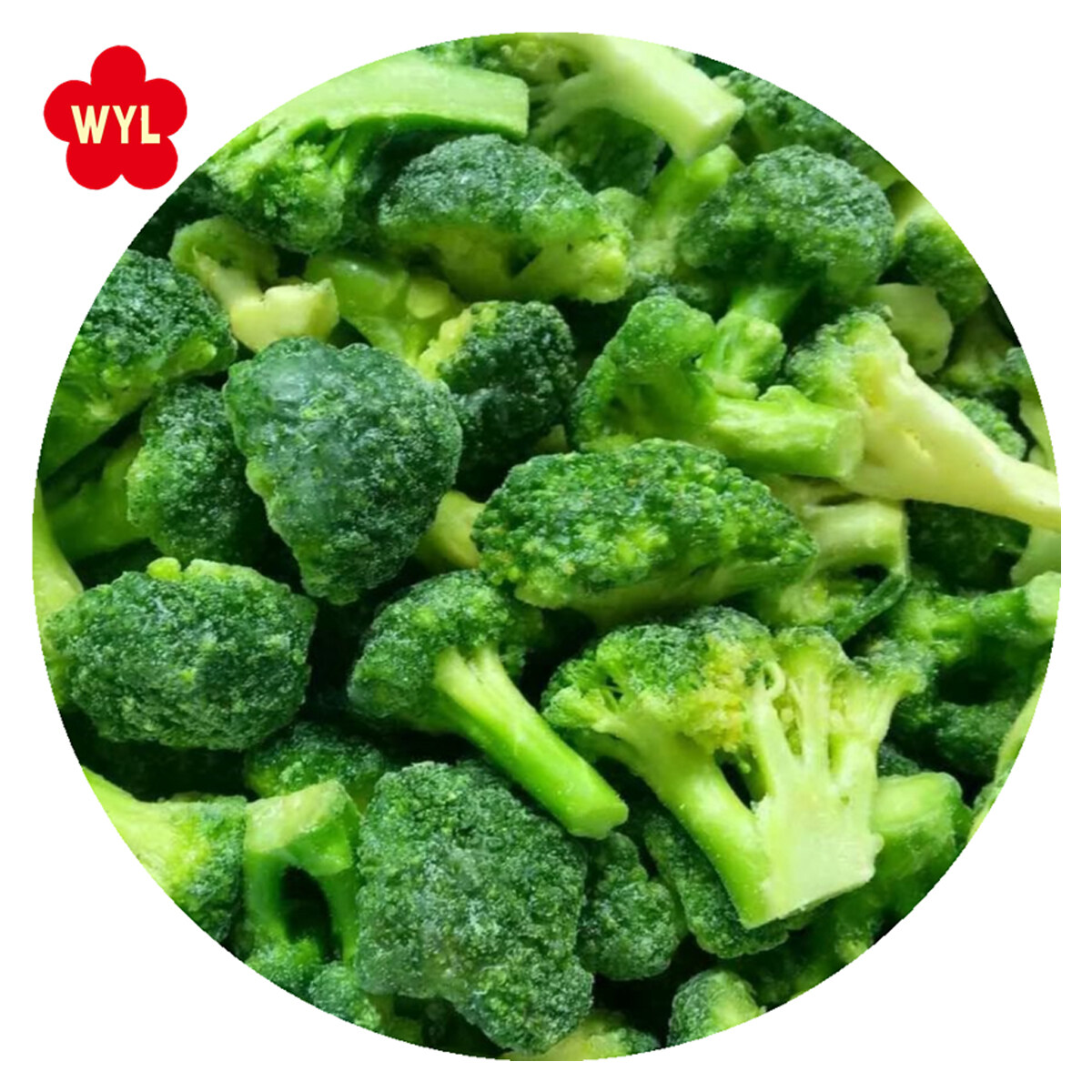 IQF Taze Dondurulmuş Brokoli Rekabetçi Fiyat Dondurulmuş Yeşil Brokoli