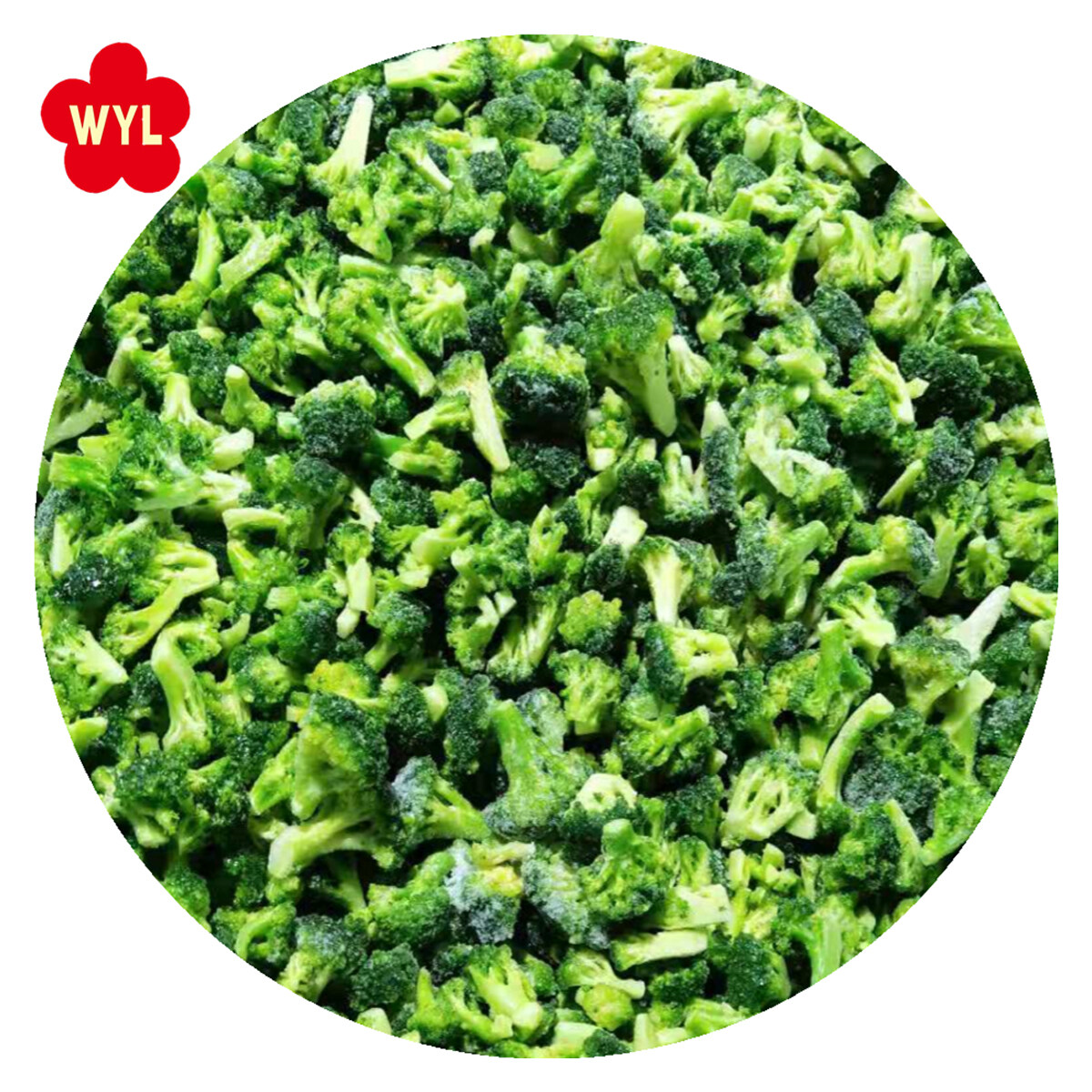 brokoli pure beku grosir, tas brokoli beku khusus, pasokan brokoli Cina beku, penjualan pure brokoli beku