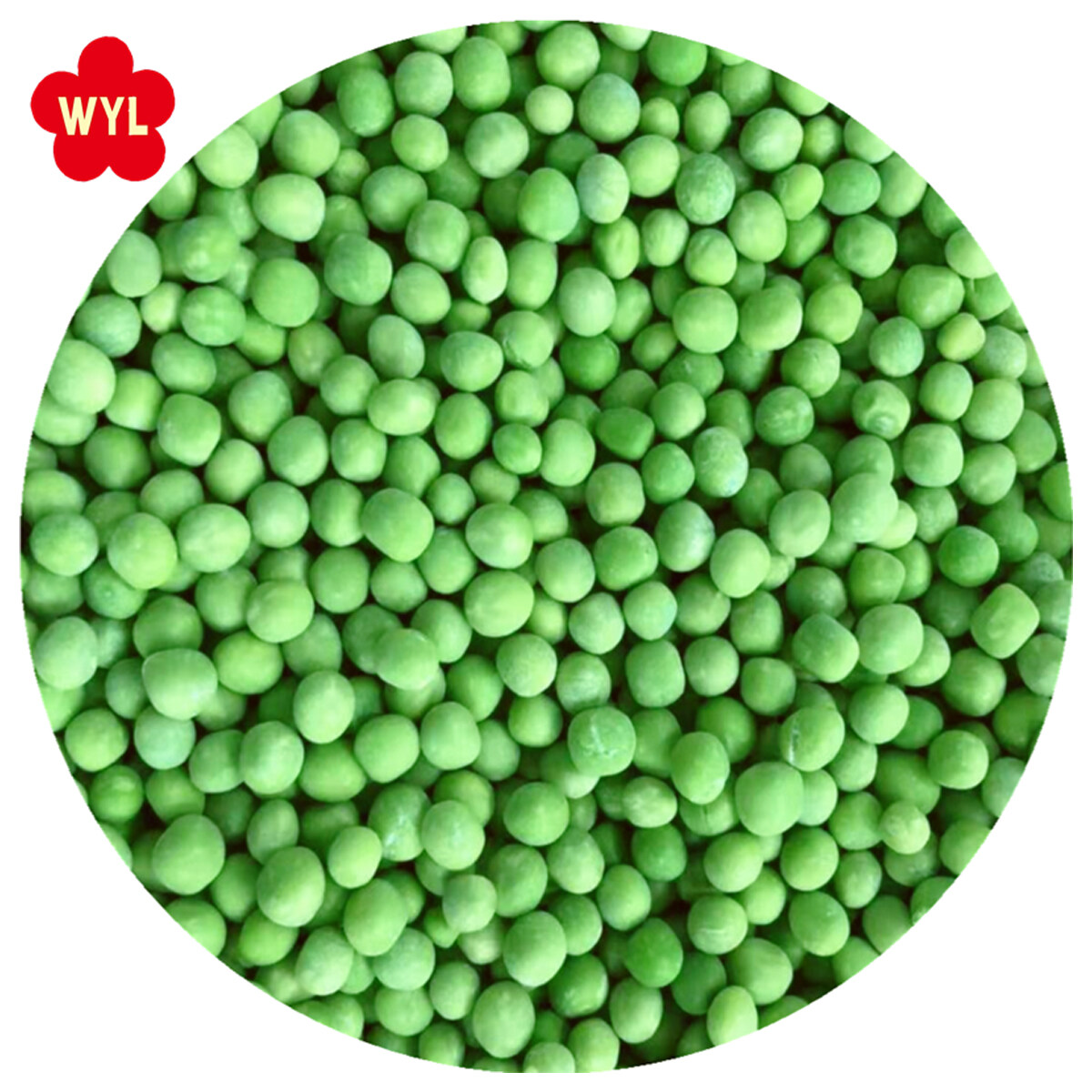 冷凍綠豌豆品牌品種A典型的綠色散裝包裝