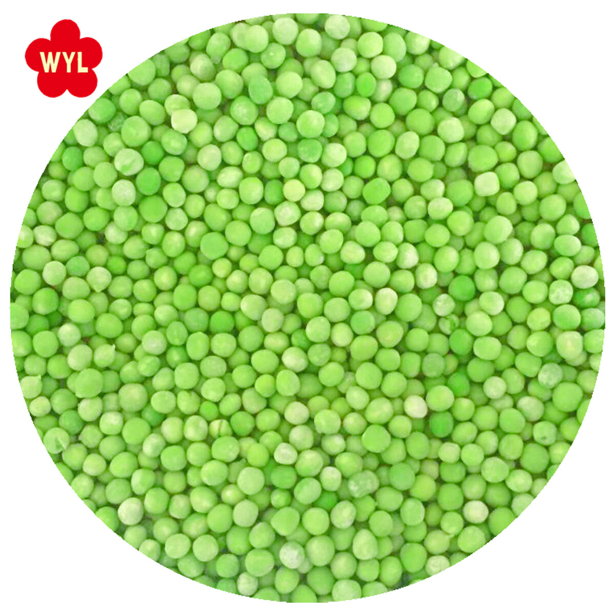 Wholesale frozen green pea 400gm, Design green peas frozen, frozen green pea 10kg Factory, frozen-green-peas Manufacturer