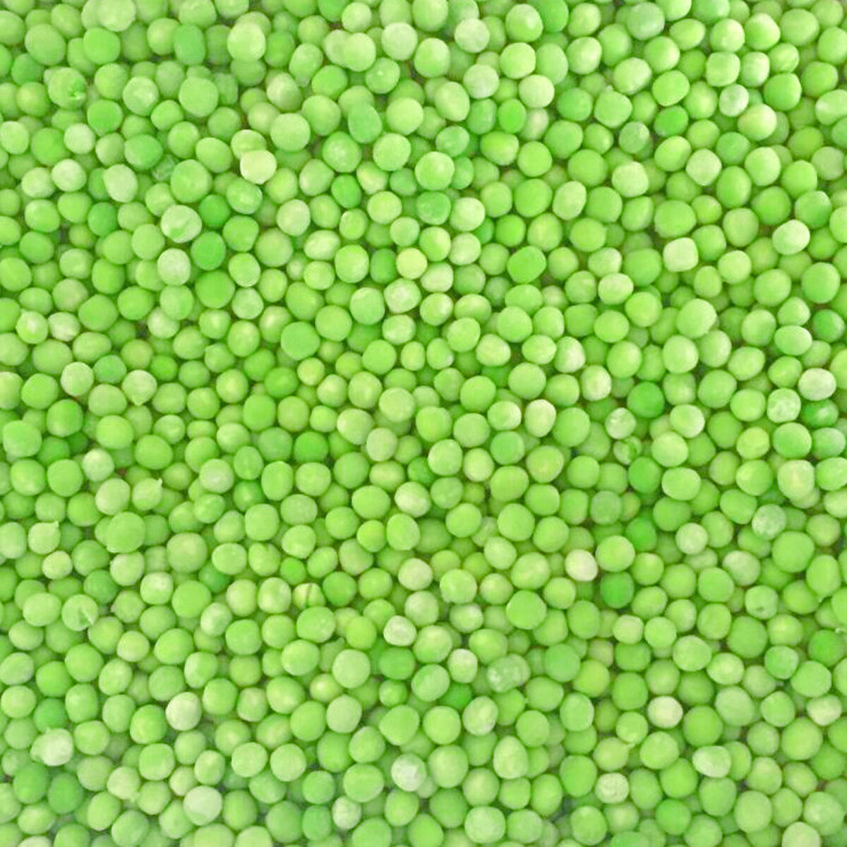 Wholesale frozen green pea 400gm, Design green peas frozen, frozen green pea 10kg Factory, frozen-green-peas Manufacturer