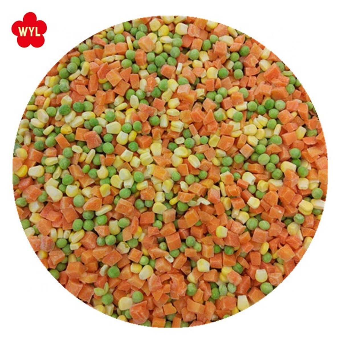高品质的冷冻混合蔬菜深度冷冻不同种类的蔬菜
