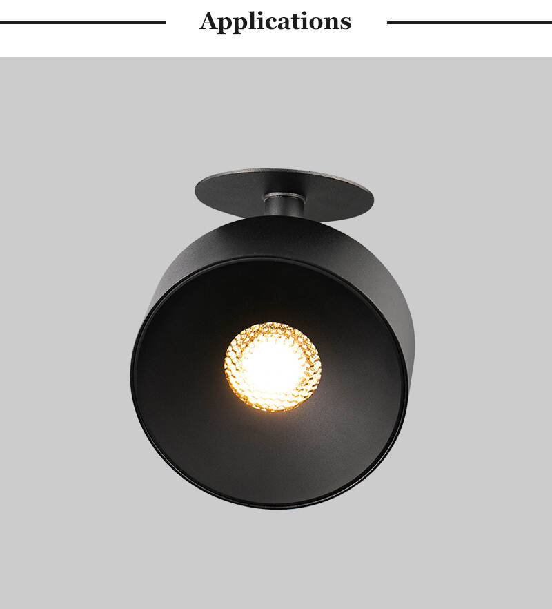 downlights in ceiling