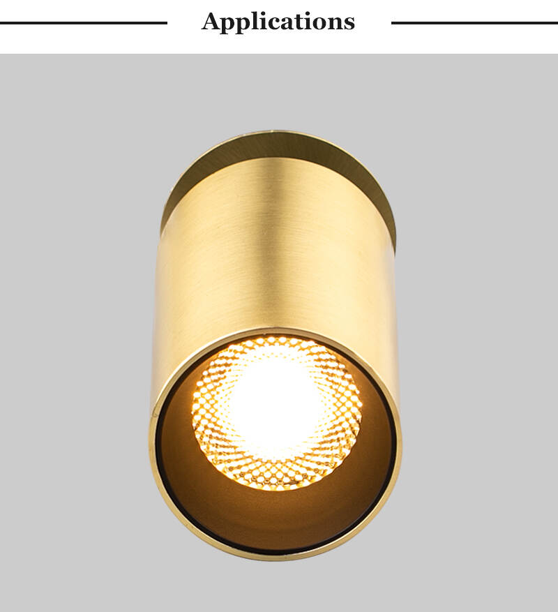sloped ceiling downlight
