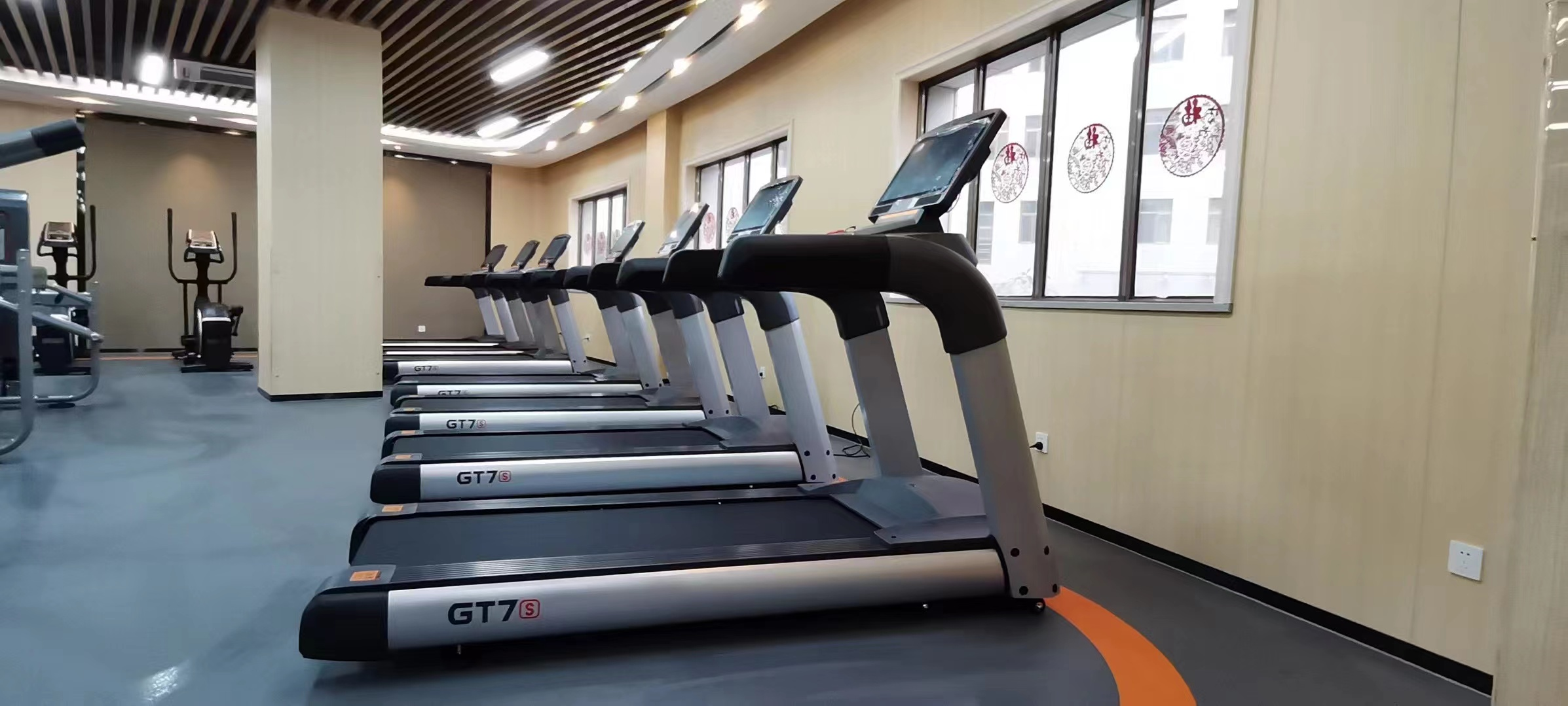 wholesale custom fitness gym equipment suppliers manufacturers