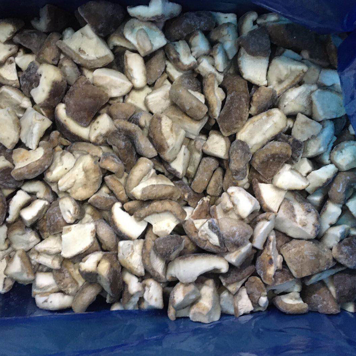 100% Ingredienti freschi funghi congelati coltivati ​​Fette di shiitake congelati di colore naturale