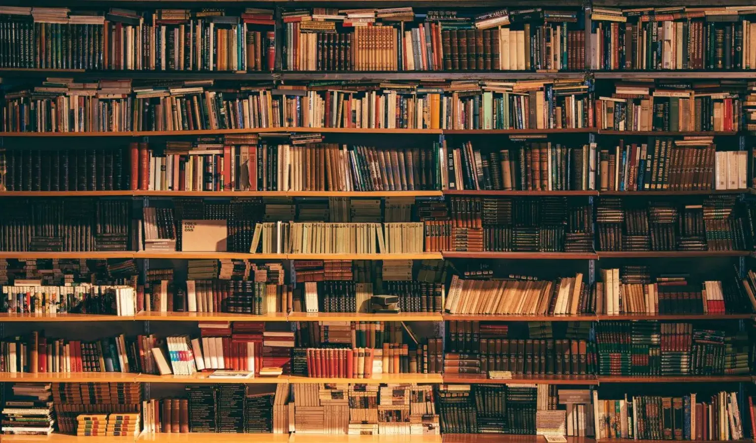 Bookshelf 