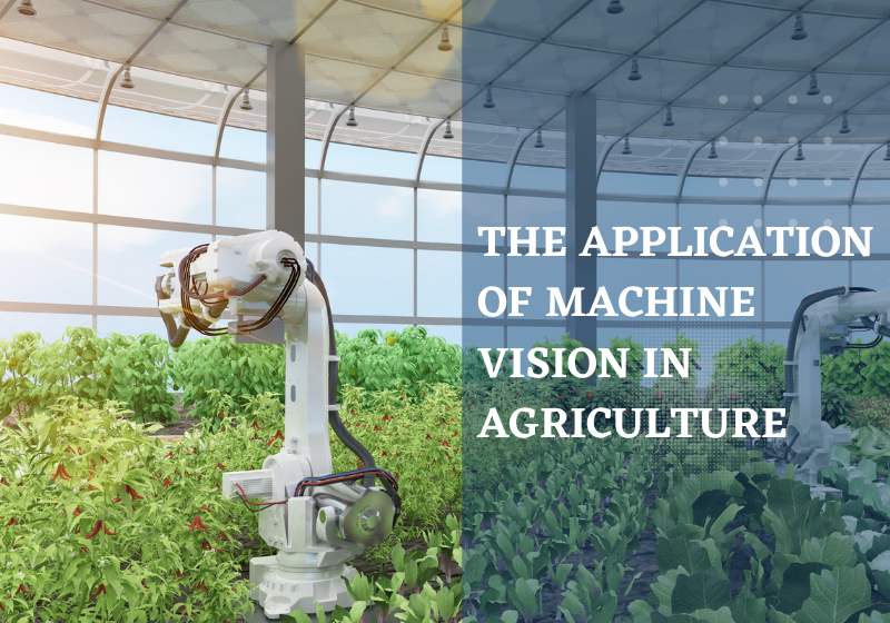 How Machine Vision Help Agriculture Soar