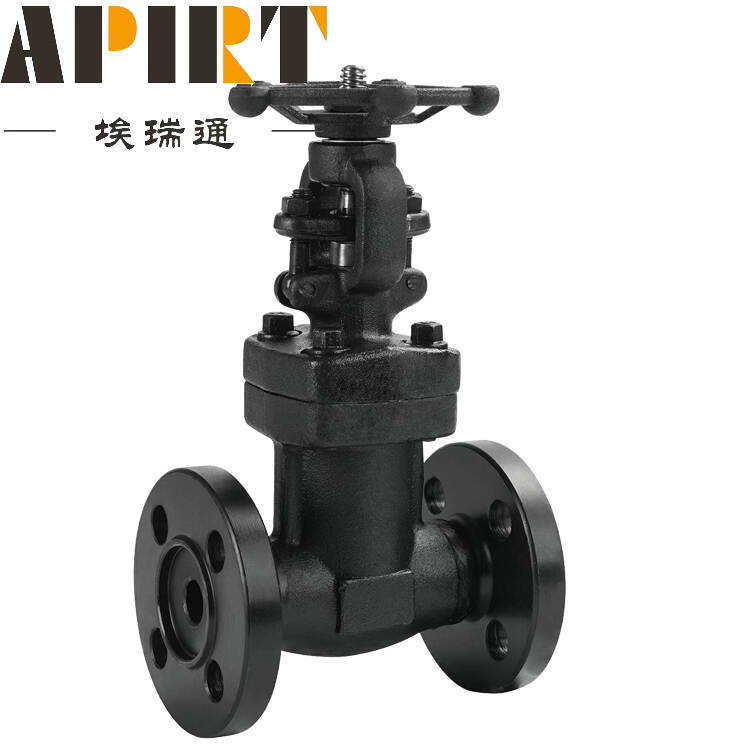 900lb steel angle globe valve supplier manufacturer
