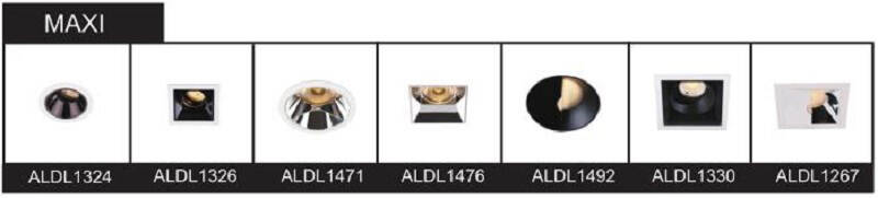 recessed adjustable downlight