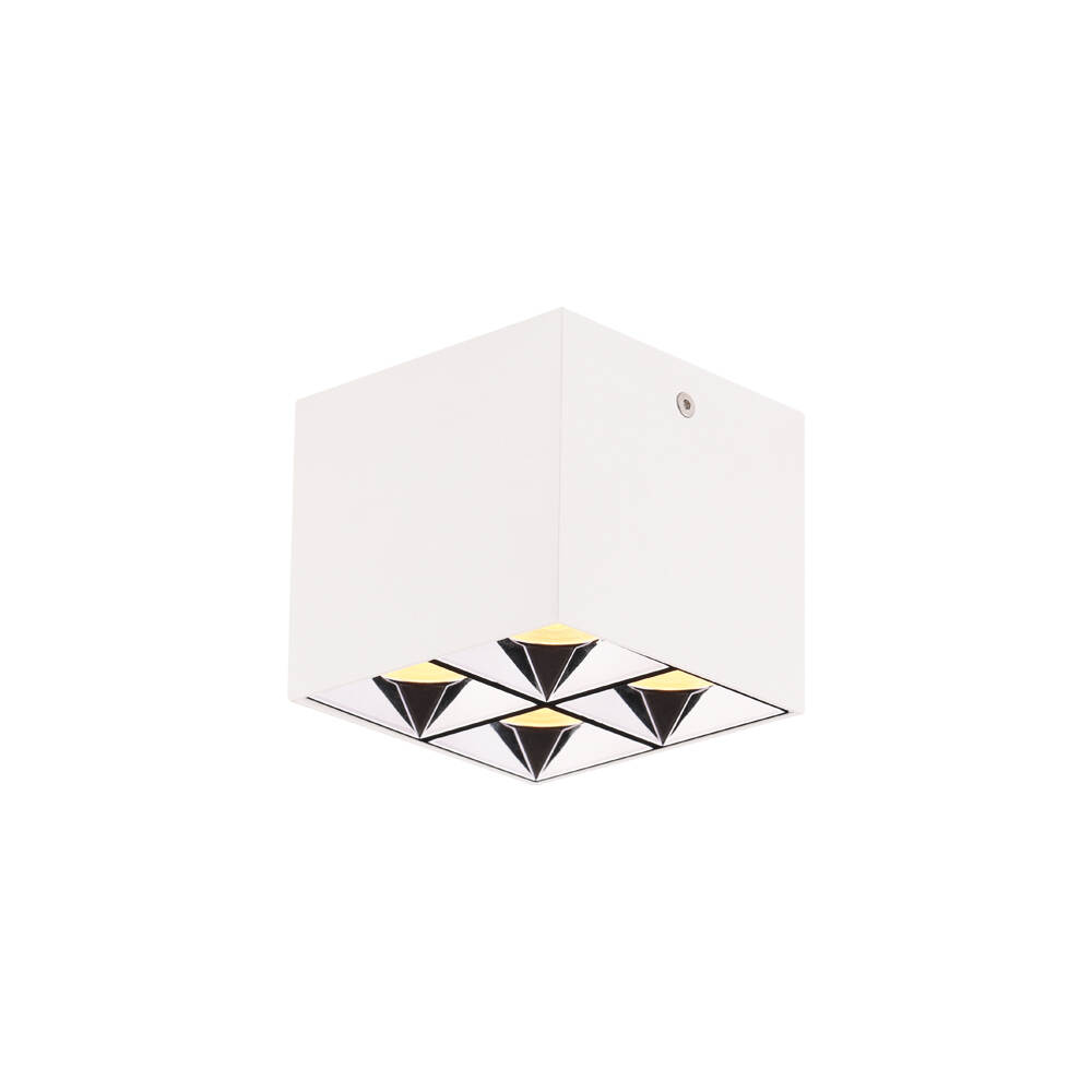 surface mounted adjustable downlight