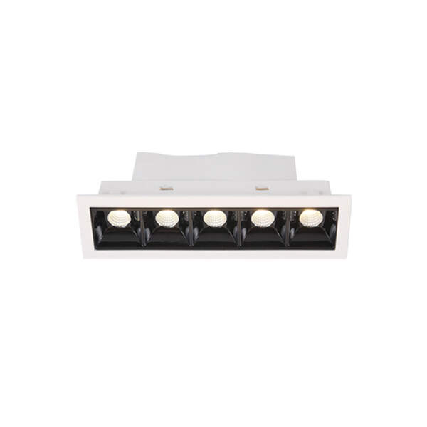 recessed adjustable downlight