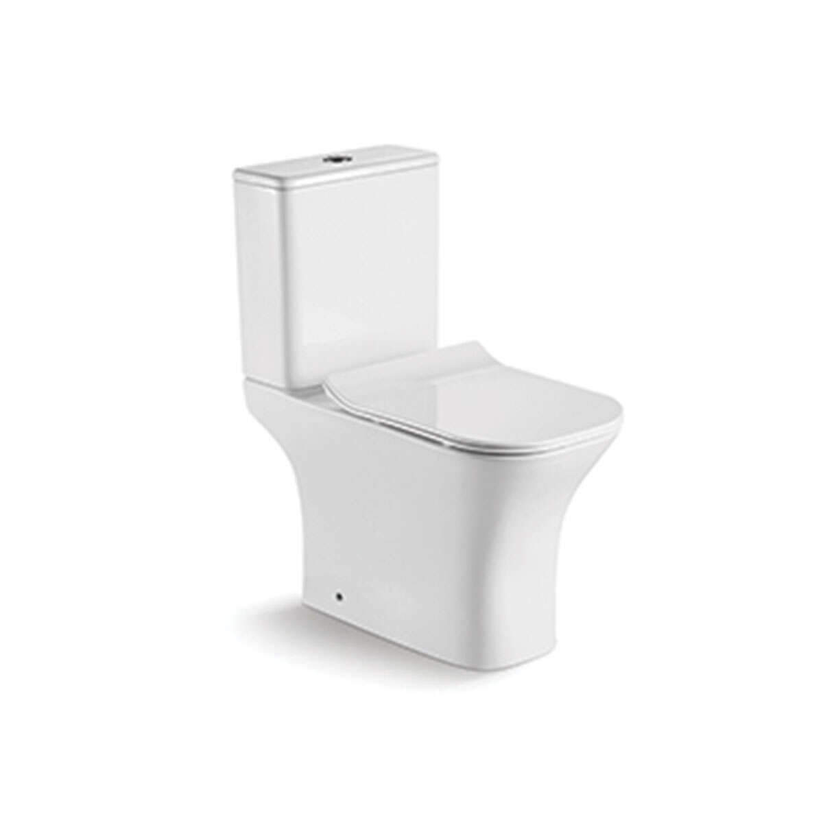 washdown two piece toilet