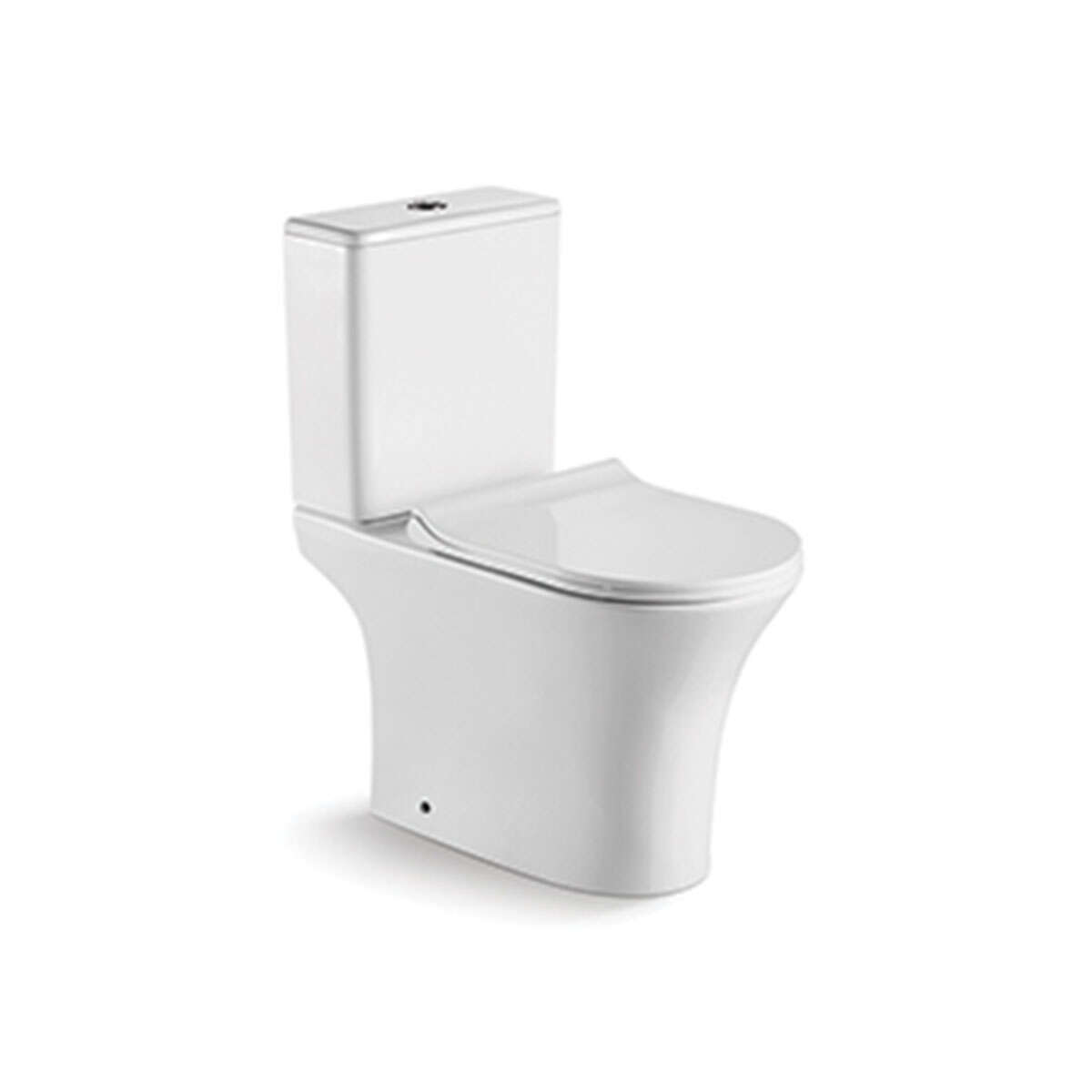 washdown two piece toilet