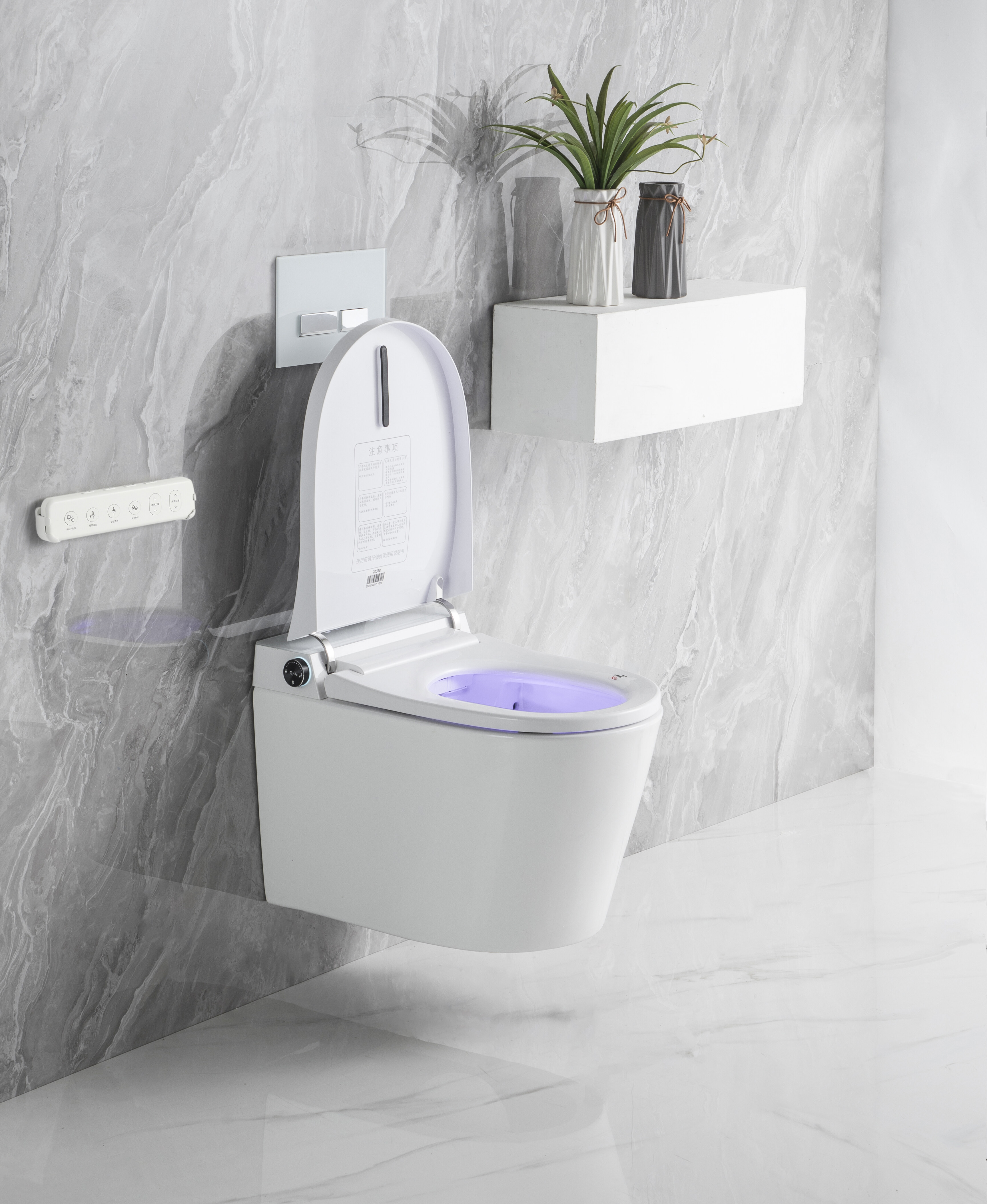 future smart toilet