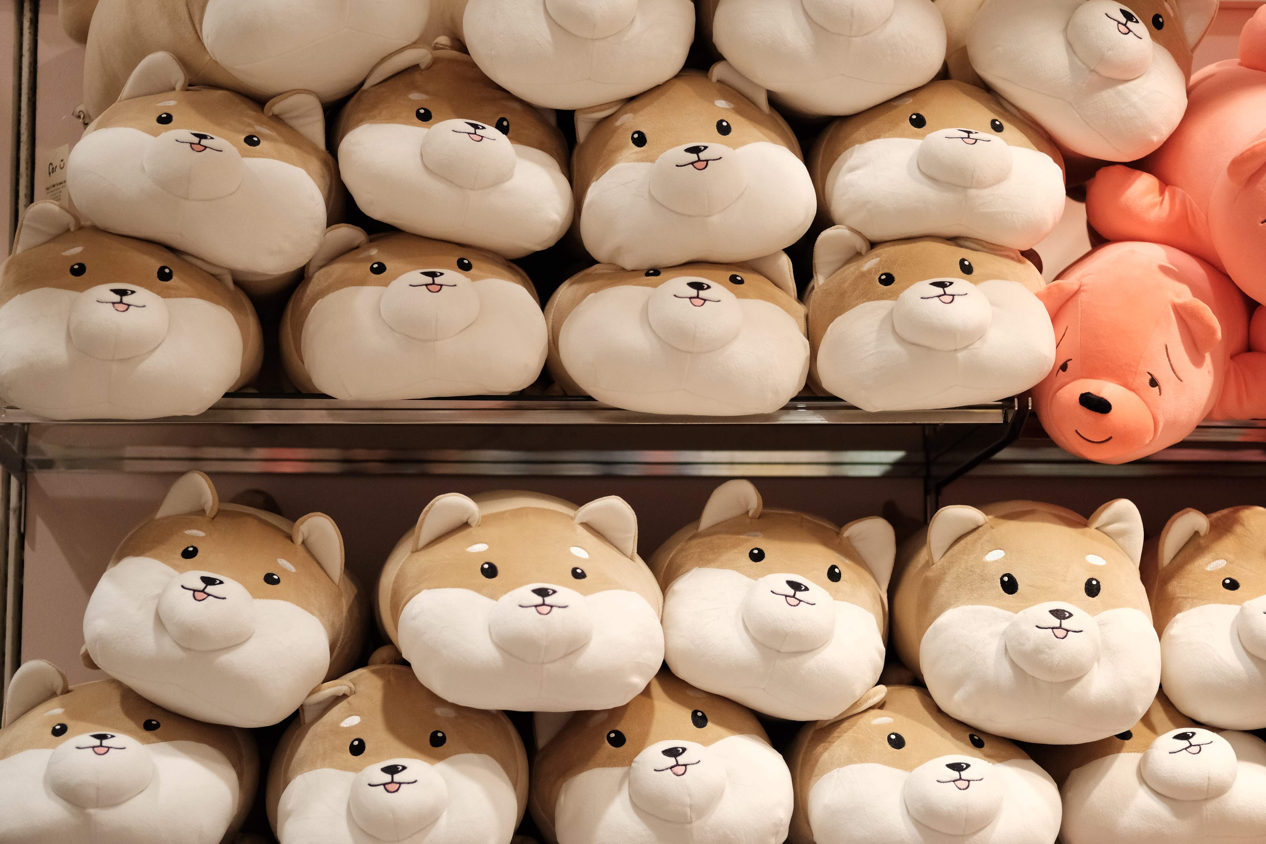 Why Pyeongchang winners are receiving plush toys on platters