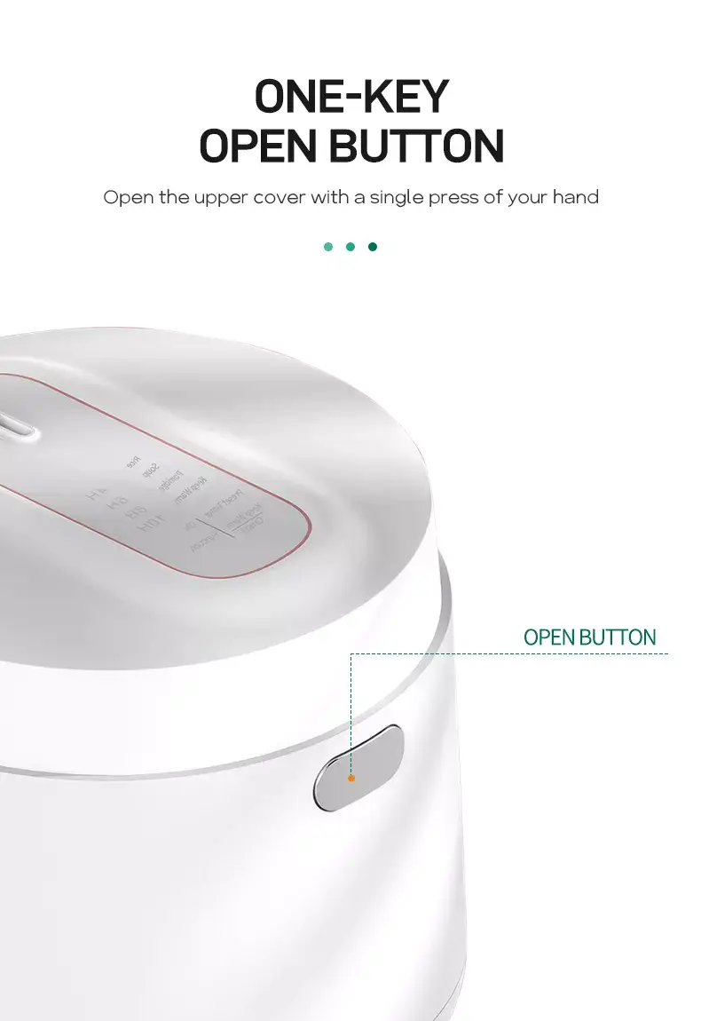 Multi mini rice cooker