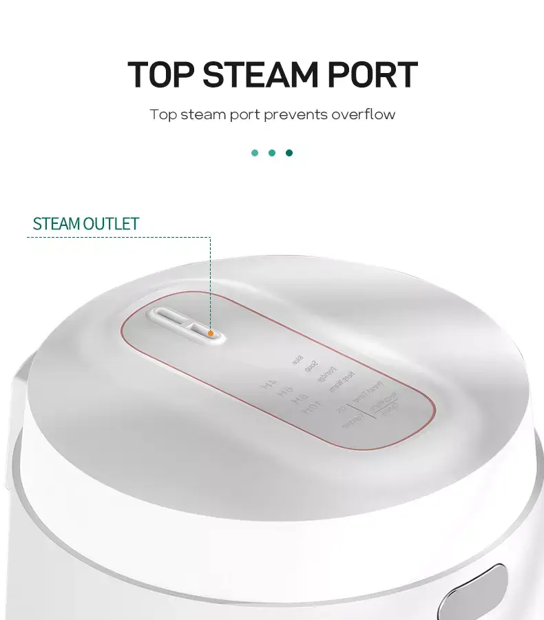 Multi mini rice cooker