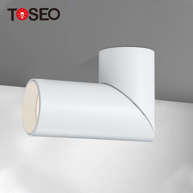 Gu10 Adjustable Aluminium Ceiling Downlight Cylinder Surface Mounted For Hotel
