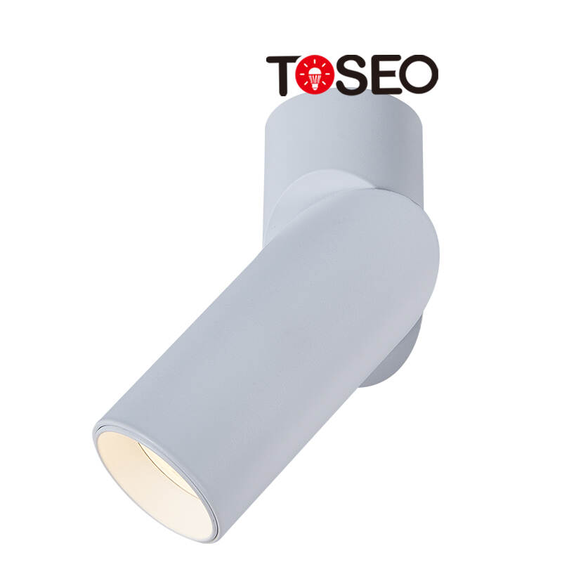 Gu10 Adjustable Aluminium Ceiling Downlight Cylinder Surface Mounted For Hotel