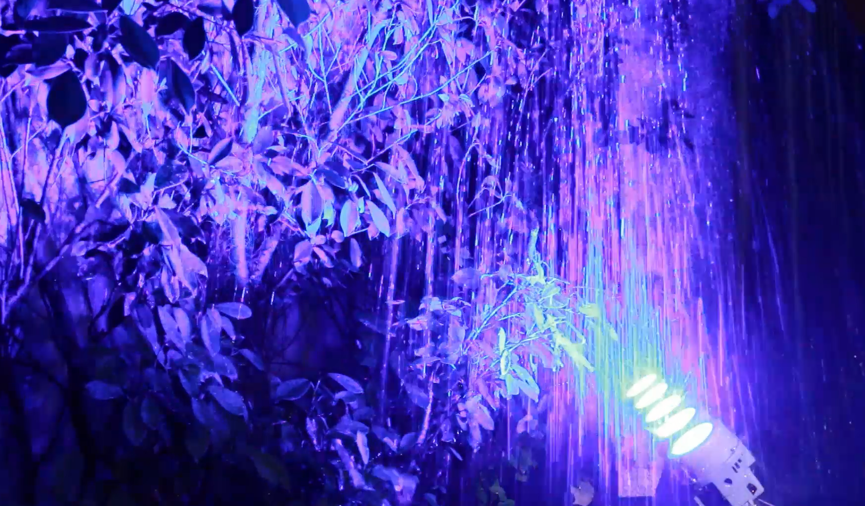 led wall wash landscape light