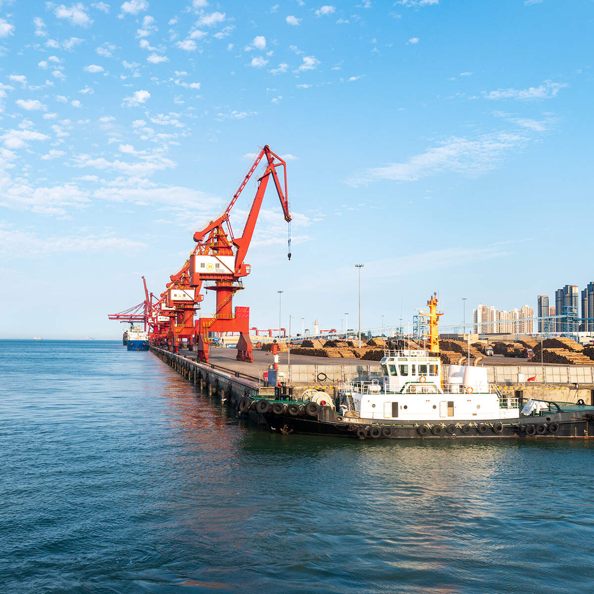 professional UAE port clearance agent