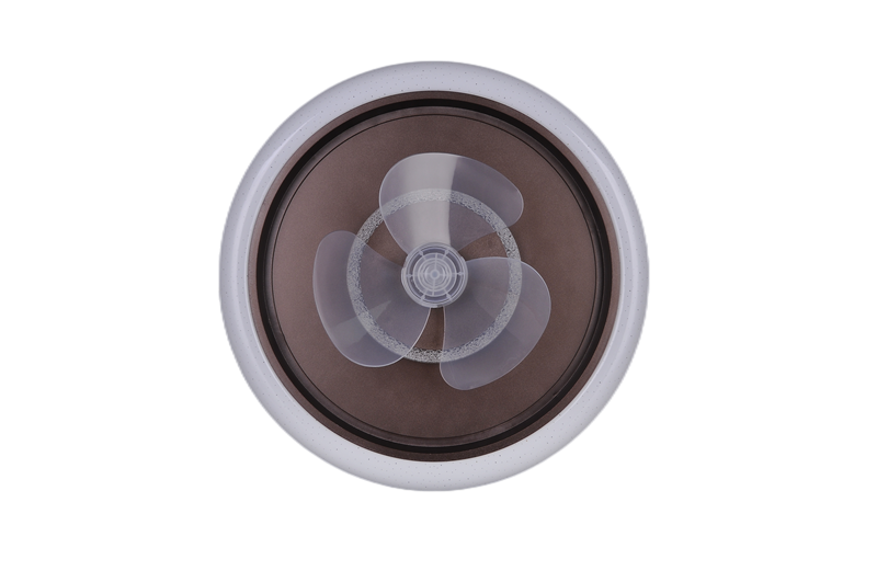 ACL-06-F R (1)_副本.png