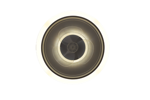 ACL-06-F W (2)_副本_副本.png