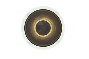 ACL-06-F W (3)_副本_副本.png