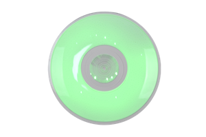 9 (9)_副本.png