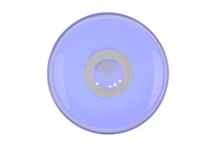 12 (14)_副本.png