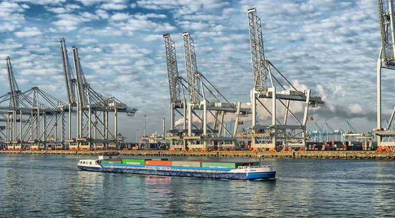 sea freight logistics customs clearance