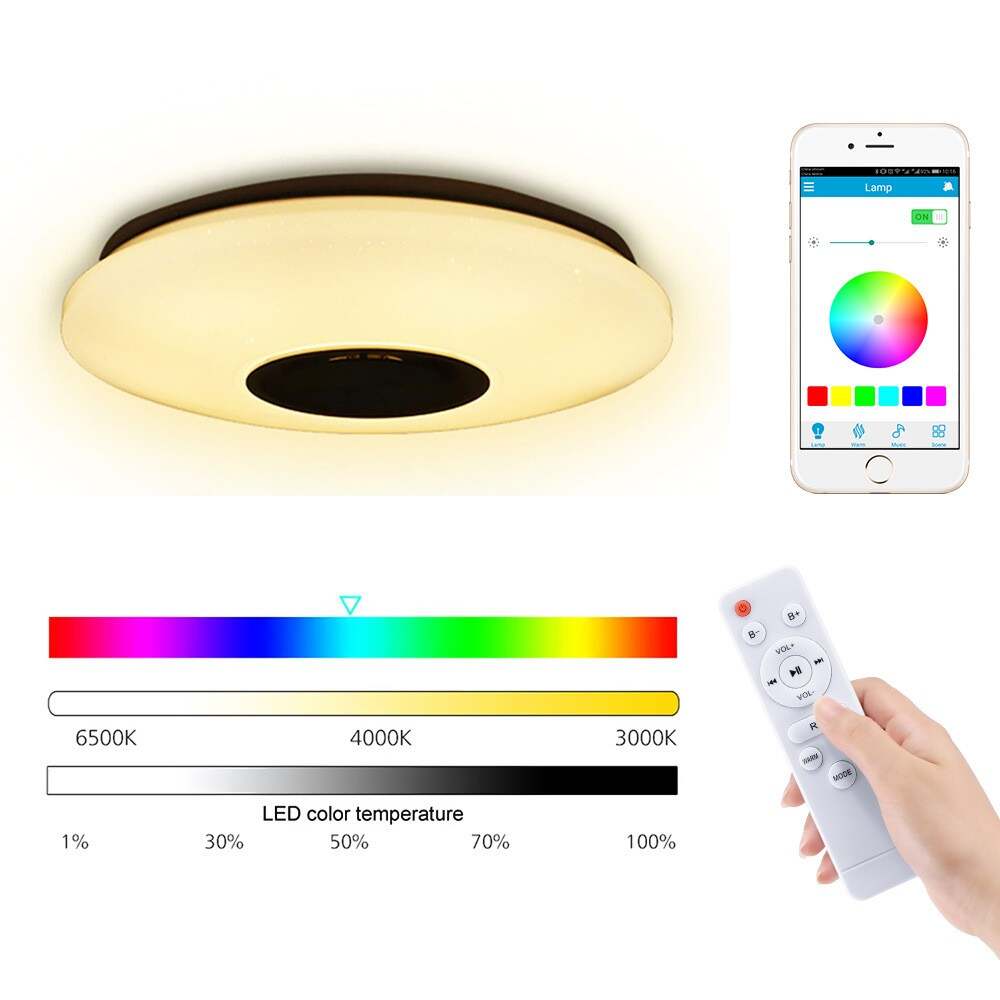 Bluetooth music ceiling light