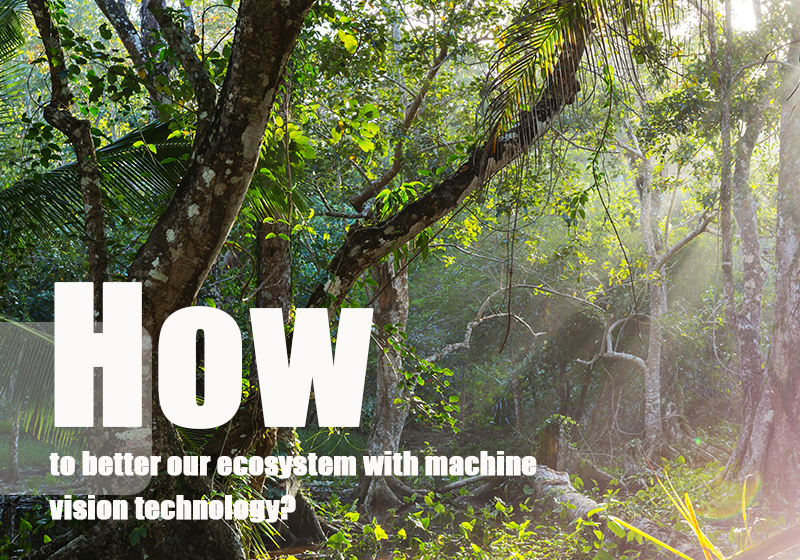 How to better our ecosystem with machine vision technology?