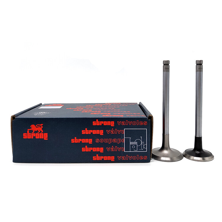 Wholesale H07C engine valve, china exhaust valve