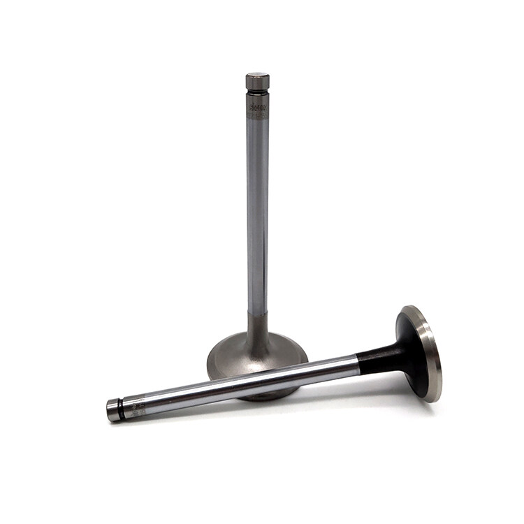 Wholesale H07C engine valve, china exhaust valve