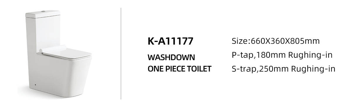 washdown toilet bowl