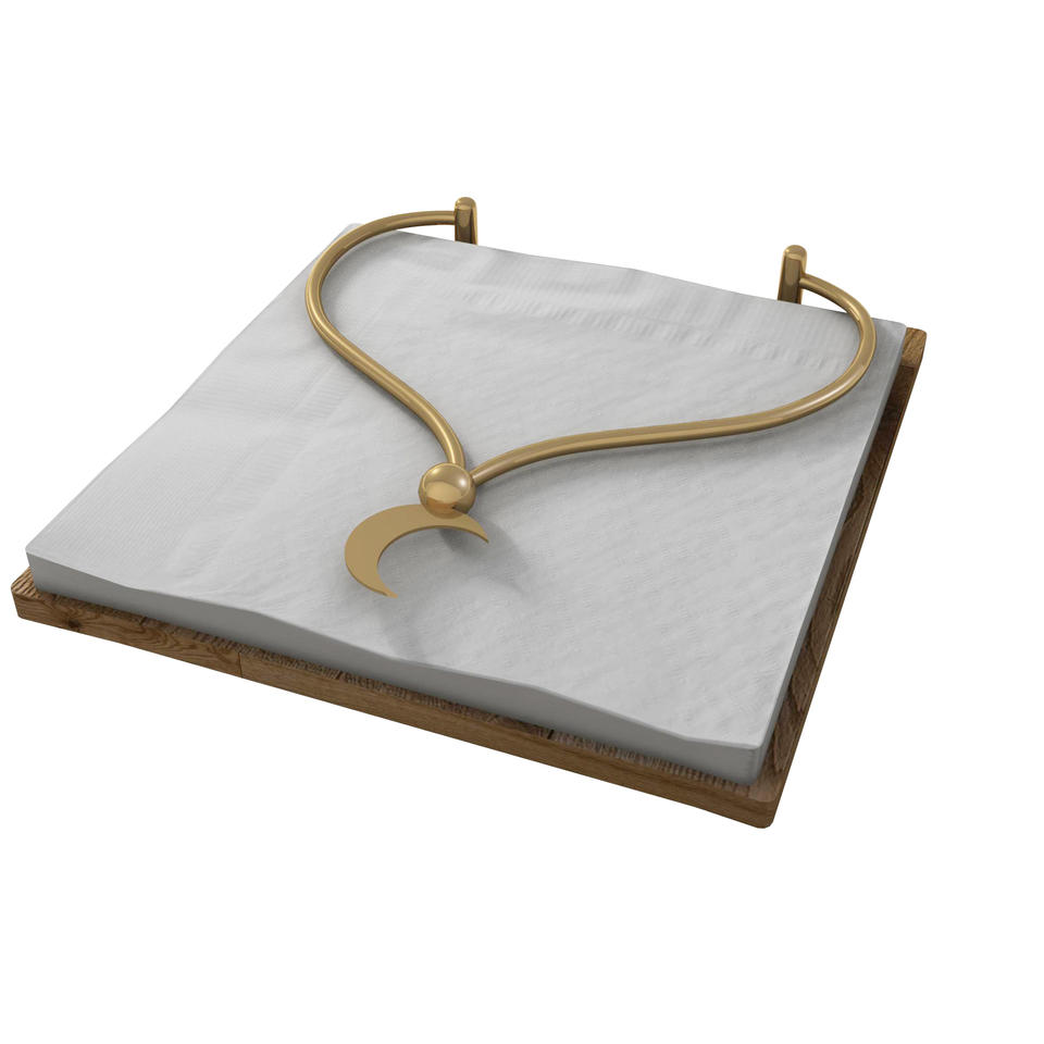 Wholesale custom Manufacturer Factory ss napkin holder