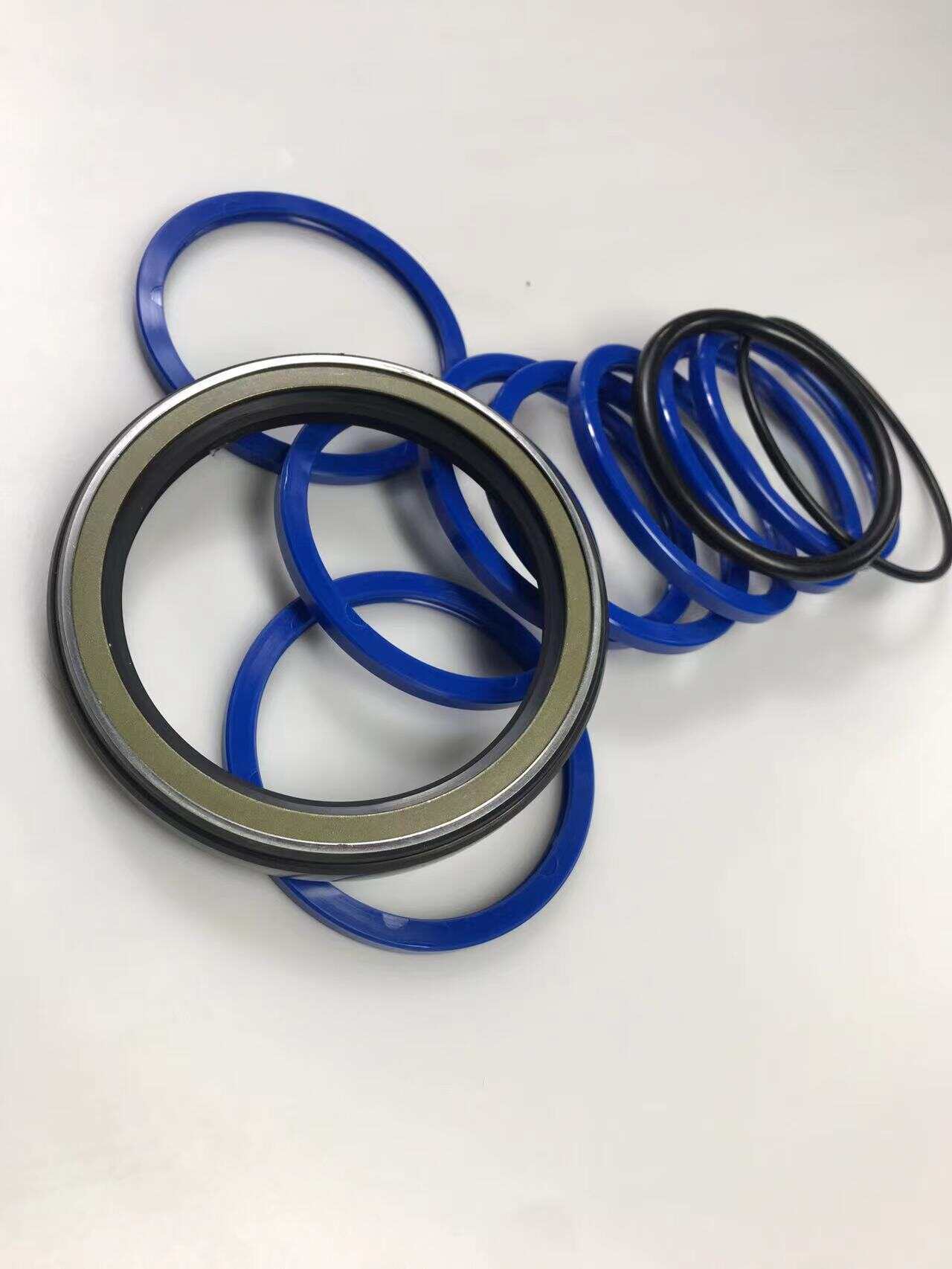 hydraulic cylinder oil seal kit