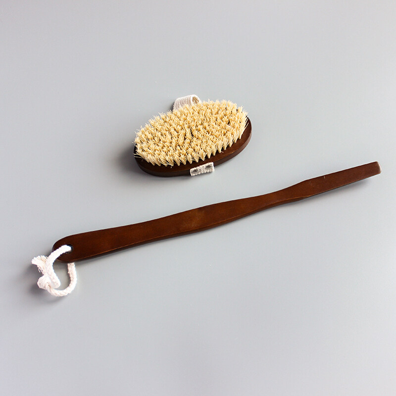 Dry or wet Body Brush with long handle