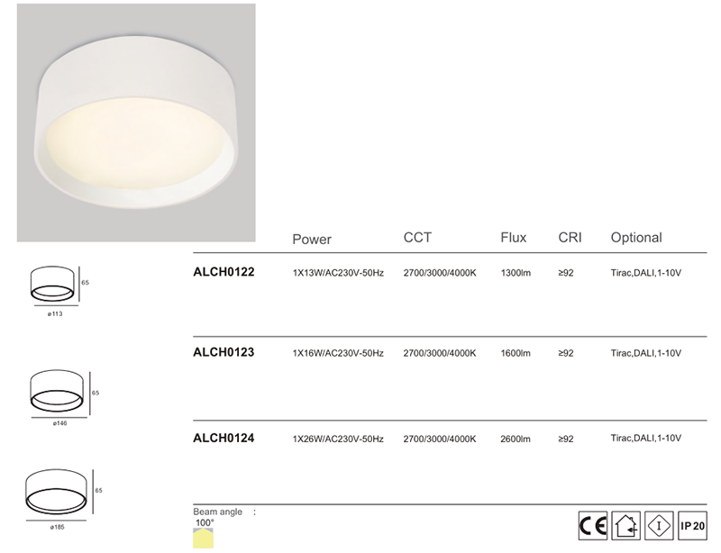 ceiling mounted flood lights