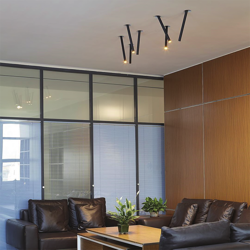 flush mount recessed ceiling lights Manufacturer