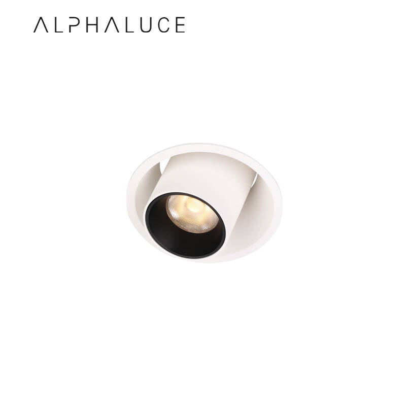 ALDL1057.jpg