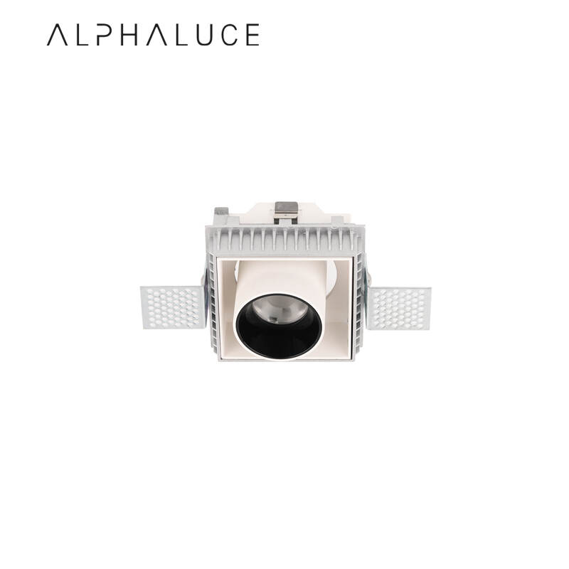 ALDL1096-2.jpg