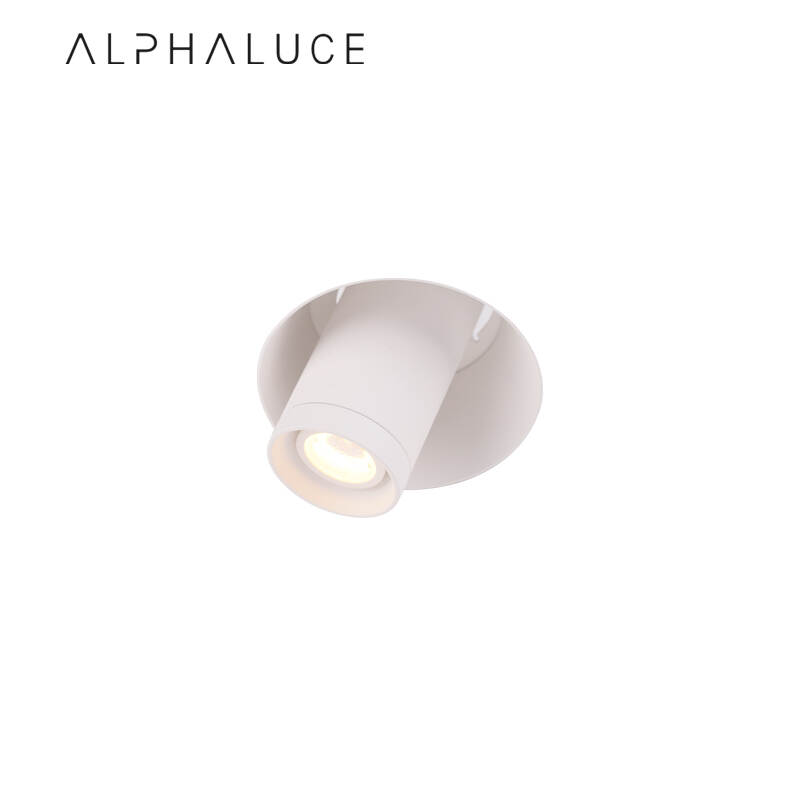 ALDL1503.jpg