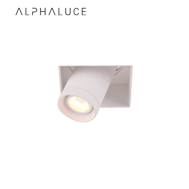 ALDL1506.jpg