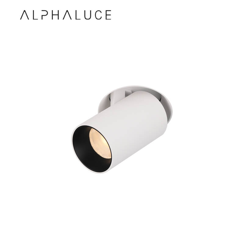 ALDL1304.jpg