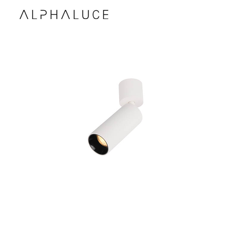 ALCH0188-1.jpg