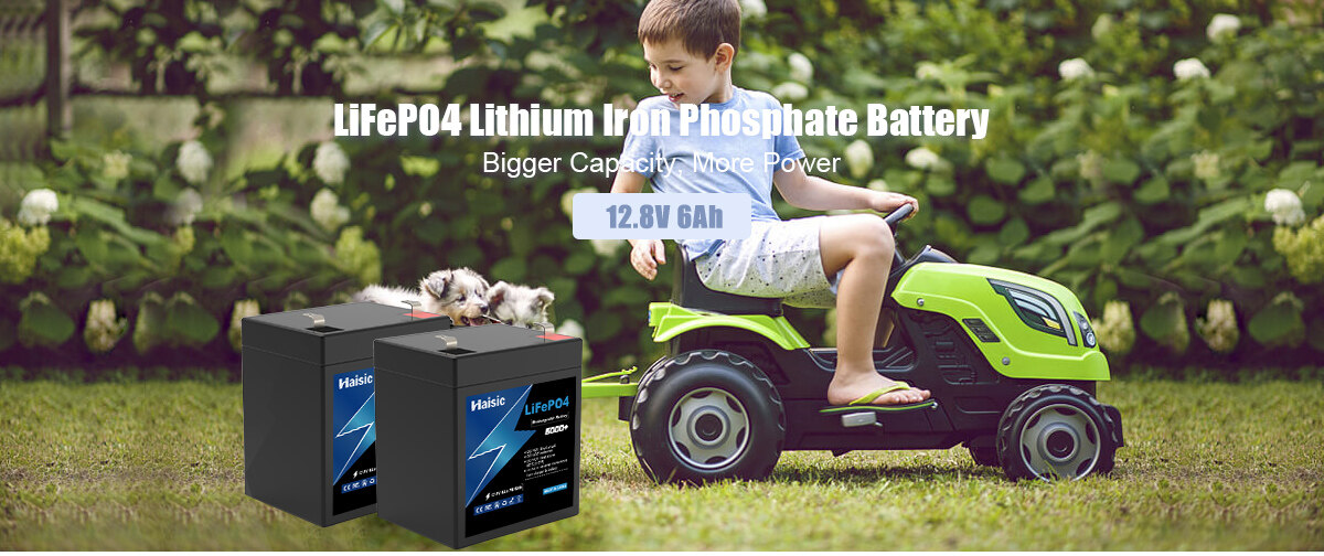 lifepo4 lithium ion battery customized